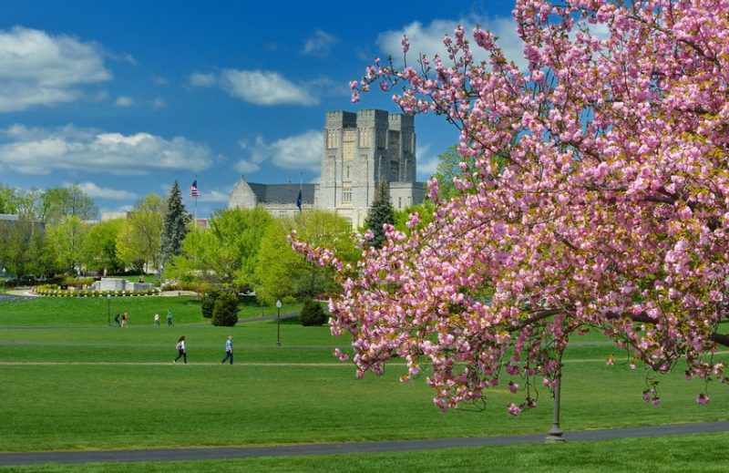 Spring VT Spring VT